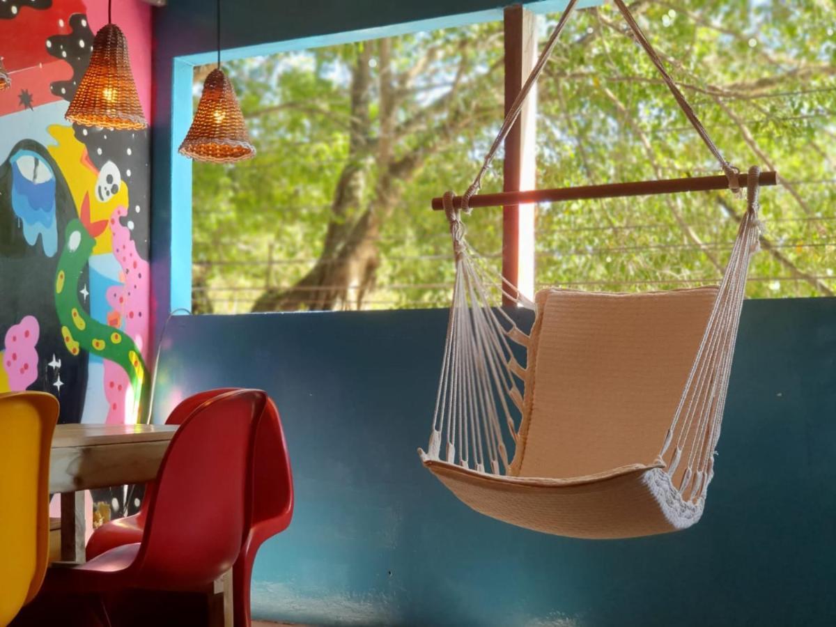 Hostel Villa Cacau トランコーゾ エクステリア 写真